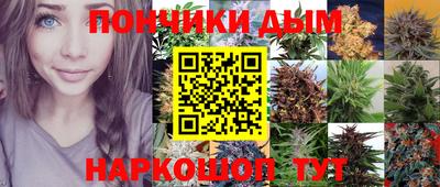 PSILOCYBIN Можга