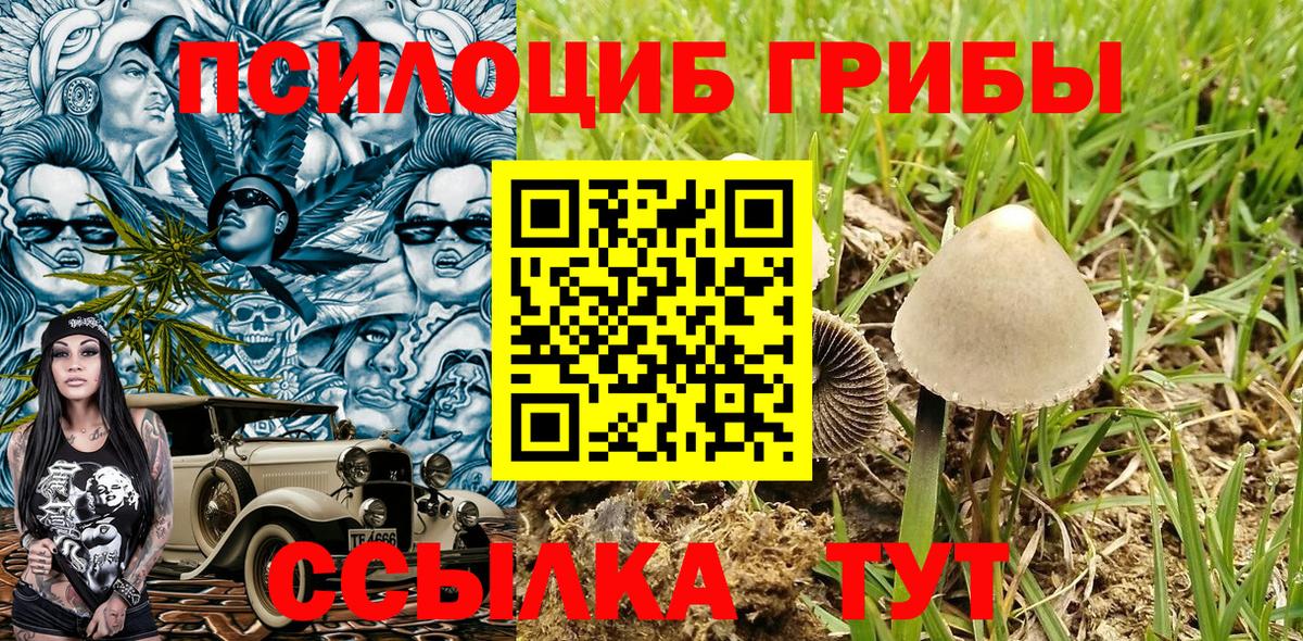 Псилоцибиновые грибы MAGIC MUSHROOMS Домодедово
